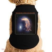 Webb Space Telescope The Penguin And Egg Ngc 2936 2937 Jwst Doggie Tank thumb 0