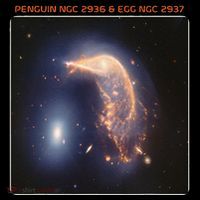 Webb Space Telescope The Penguin And Egg Ngc 2936 2937 Jwst Coffee Mug thumb 5
