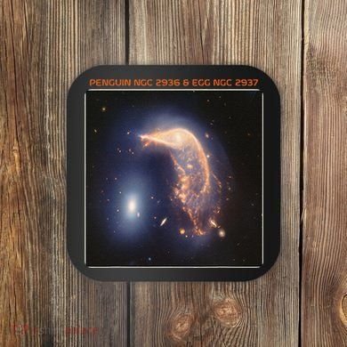 Webb Space Telescope The Penguin And Egg Ngc 2936 2937 Jwst Coaster