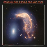 Webb Space Telescope The Penguin And Egg Ngc 2936 2937 Jwst Women's Hoodie thumb 2