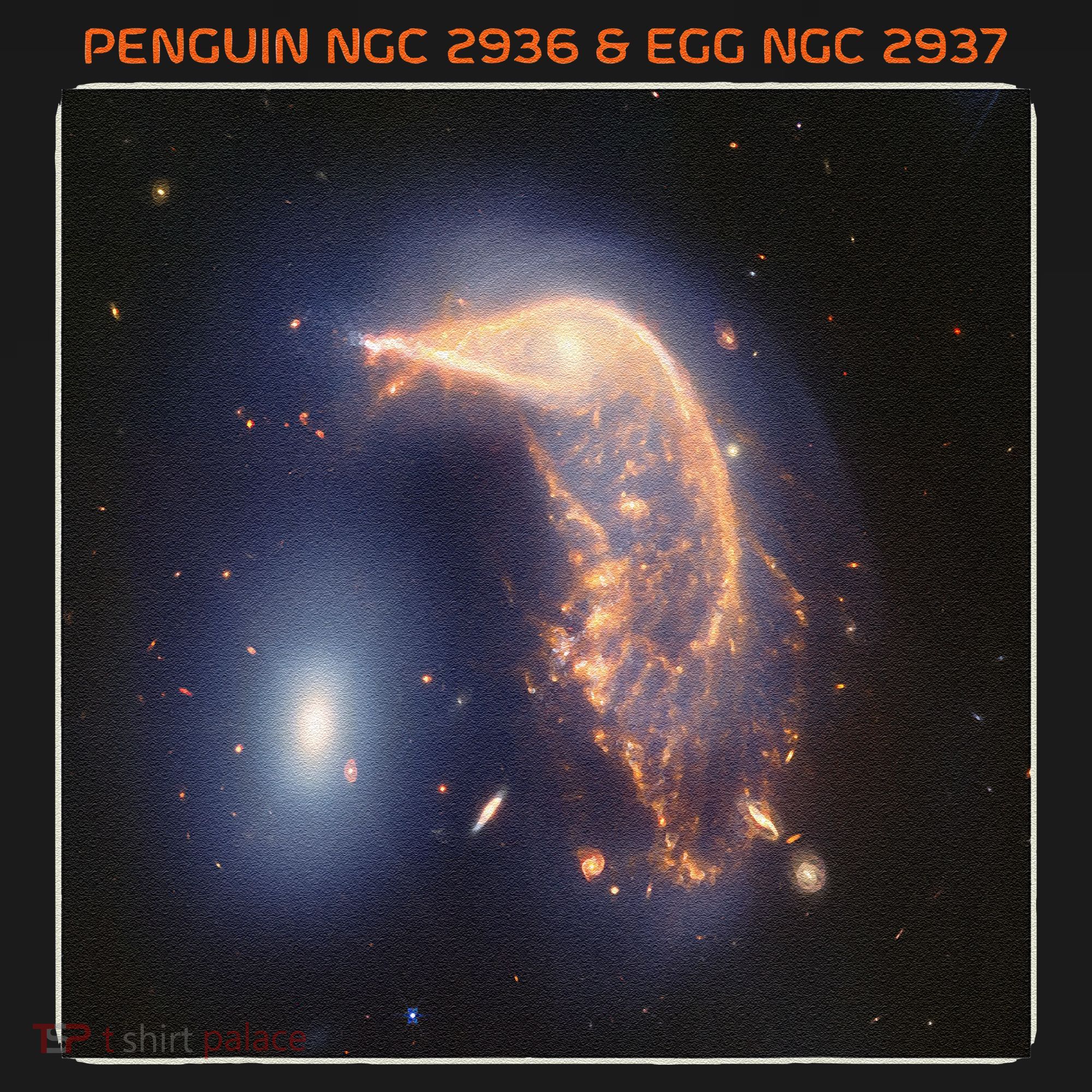 Webb Space Telescope The Penguin And Egg Ngc 2936 2937 Jwst Women's Hoodie