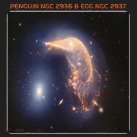 Webb Space Telescope The Penguin And Egg Ngc 2936 2937 Jwst Hat thumb 2