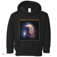 Webb Space Telescope The Penguin And Egg Ngc 2936 2937 Jwst Toddler Hoodie thumb 0