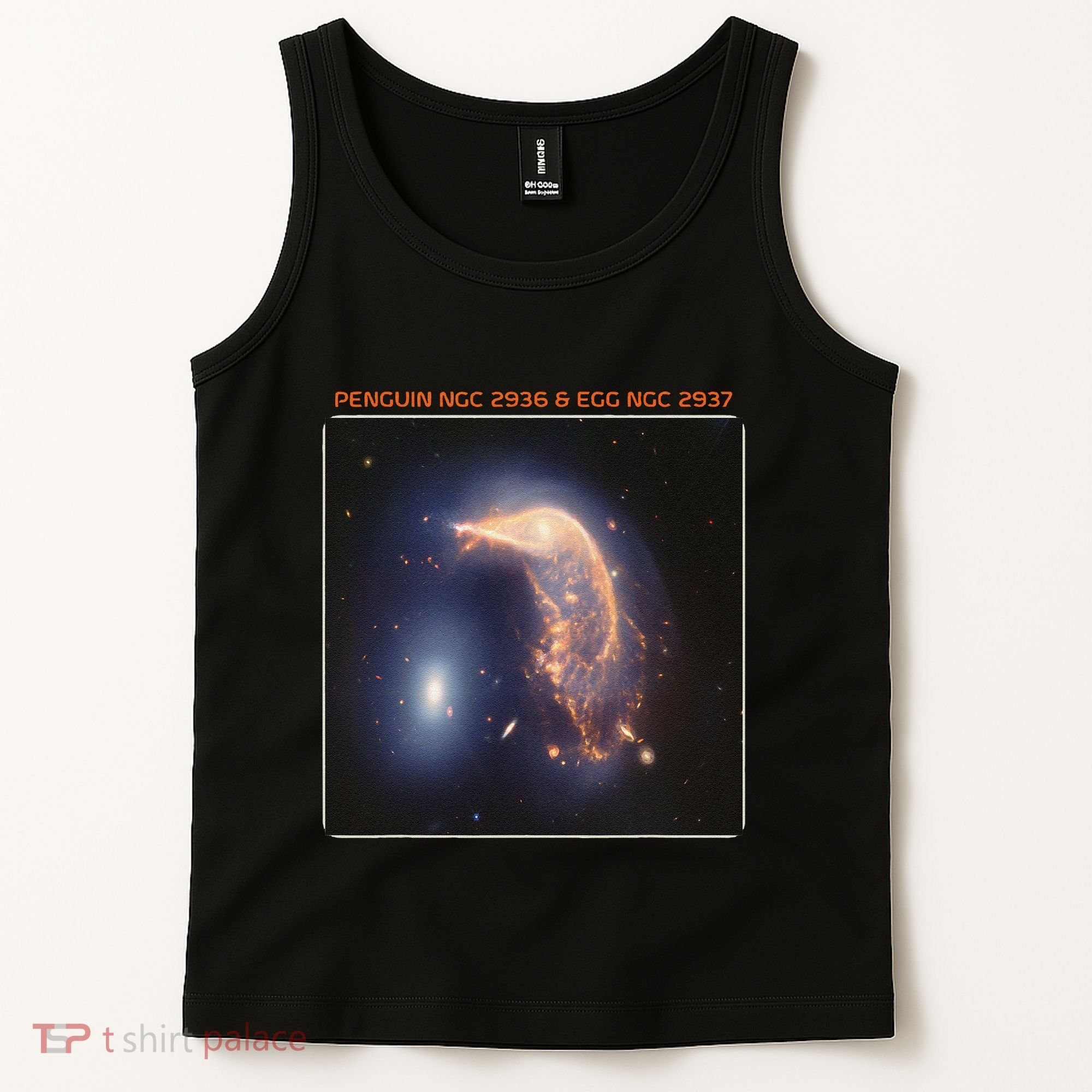 Webb Space Telescope The Penguin And Egg Ngc 2936 2937 Jwst Tank Top