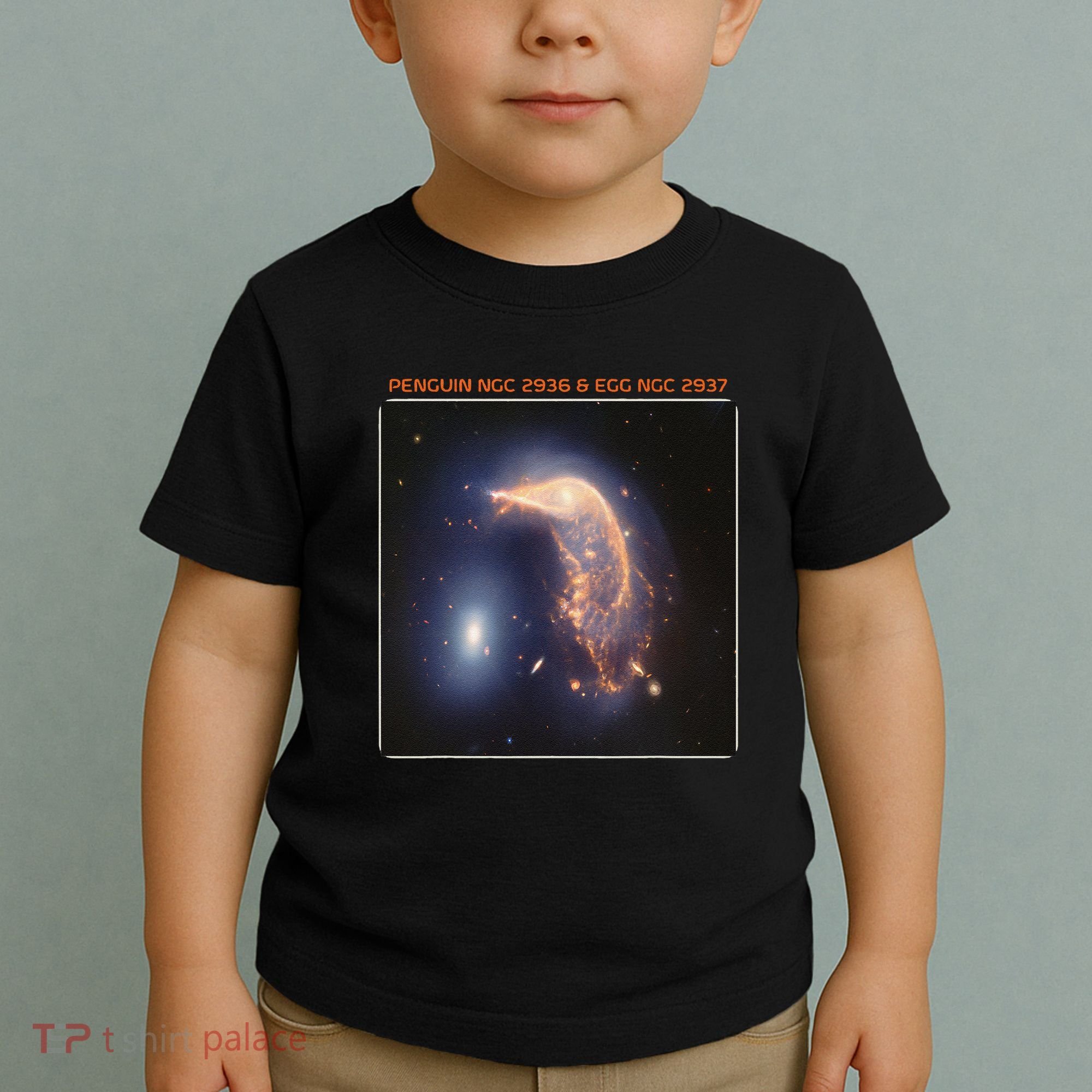 Webb Space Telescope The Penguin And Egg Ngc 2936 2937 Jwst Toddler T-Shirt
