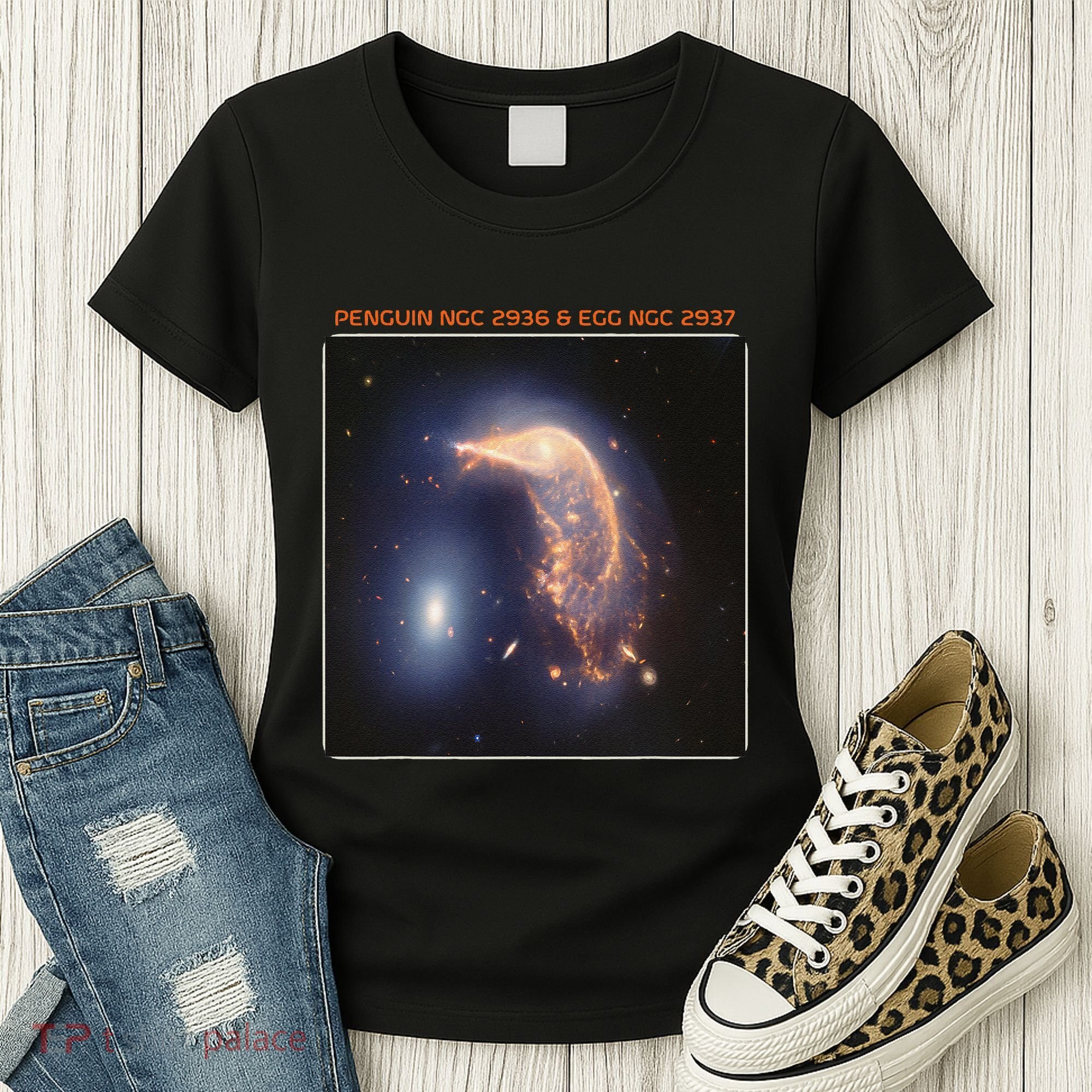 Webb Space Telescope The Penguin And Egg Ngc 2936 2937 Jwst Women's T-Shirt