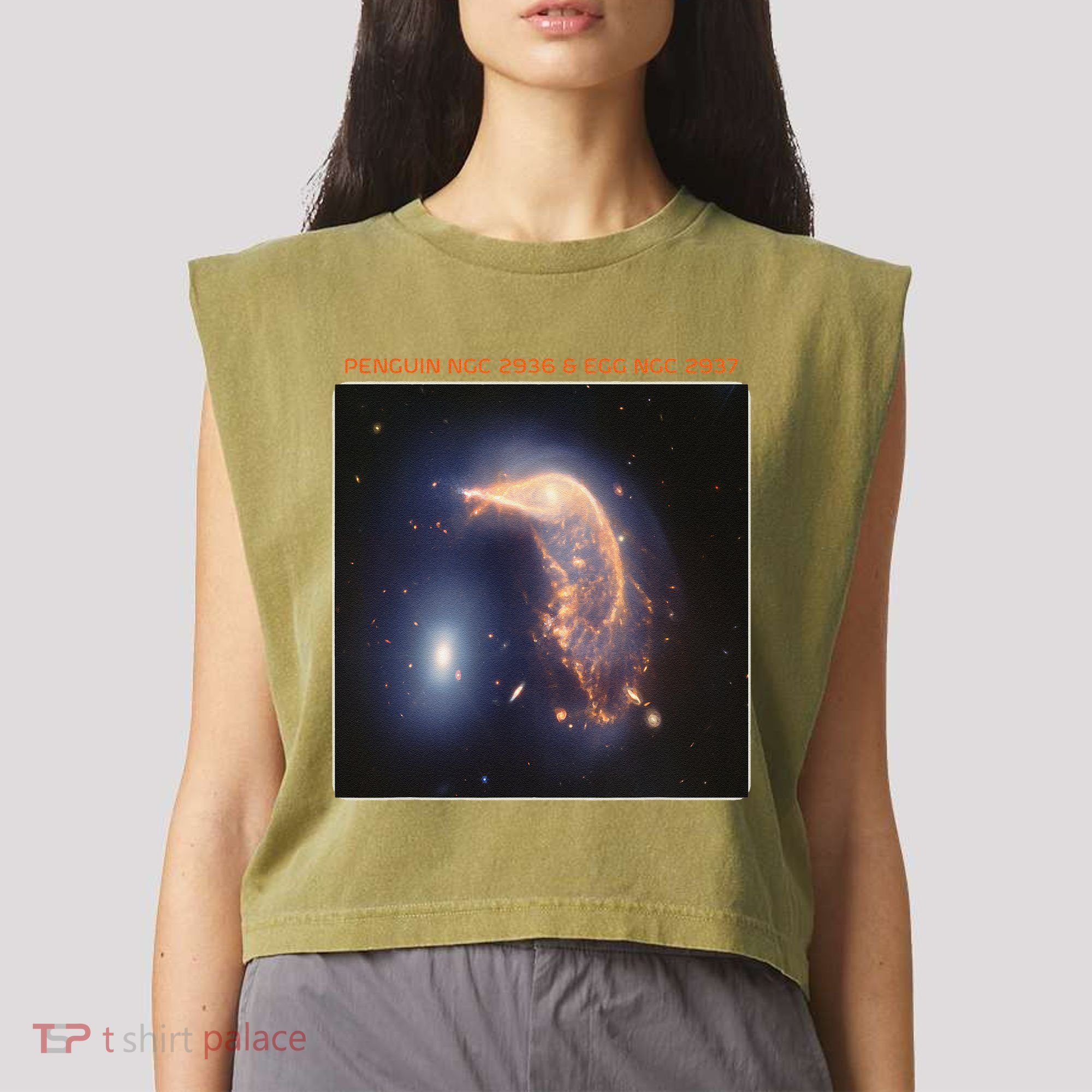 Webb Space Telescope The Penguin And Egg Ngc 2936 2937 Jwst Garment-Dyed Women's Muscle Tee
