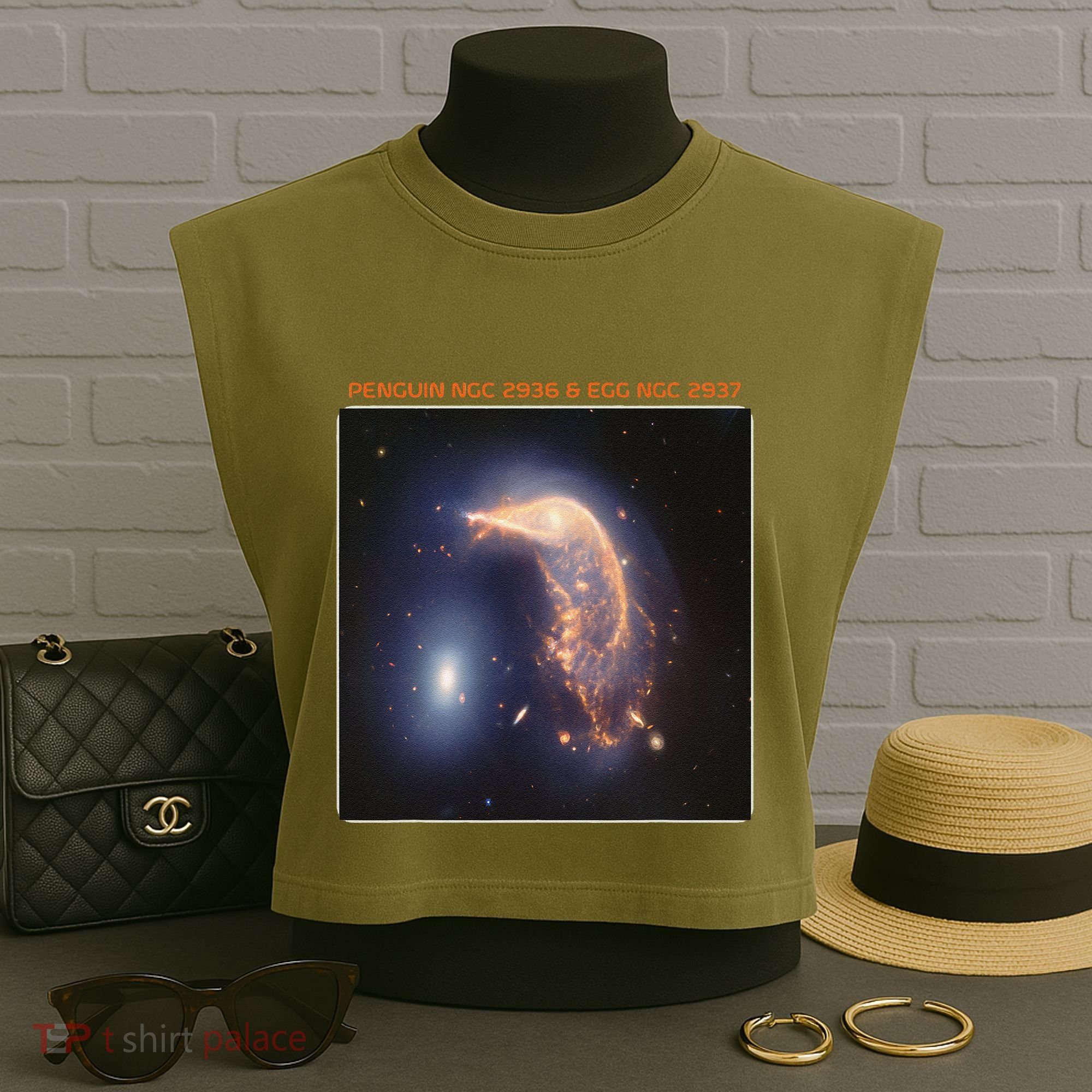 Webb Space Telescope The Penguin And Egg Ngc 2936 2937 Jwst Garment-Dyed Women's Muscle Tee