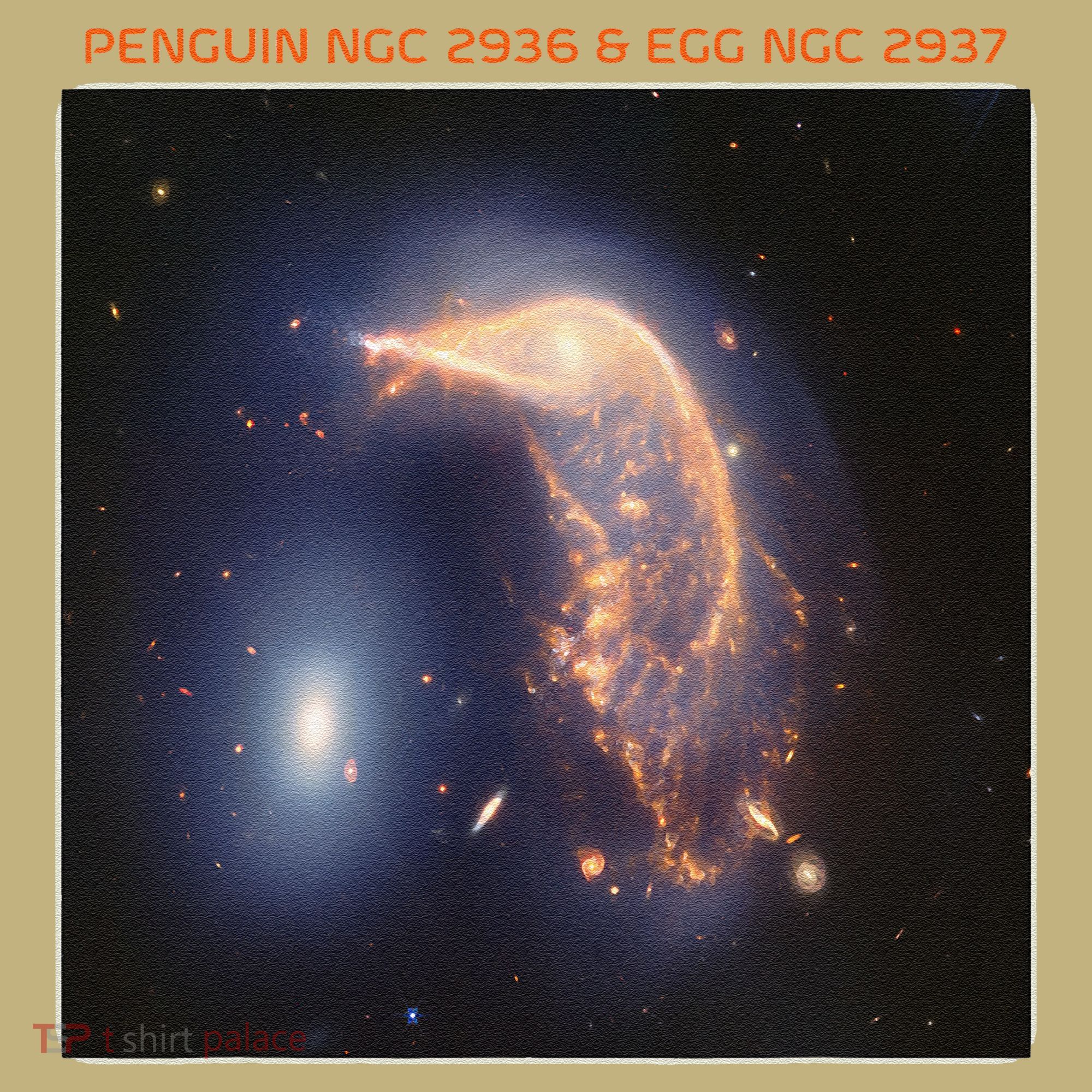 Webb Space Telescope The Penguin And Egg Ngc 2936 2937 Jwst Sweatshirt