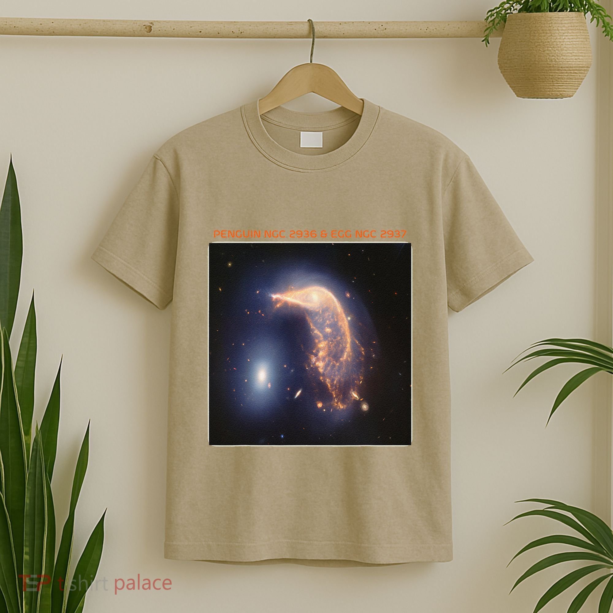 Webb Space Telescope The Penguin And Egg Ngc 2936 2937 Jwst T-Shirt