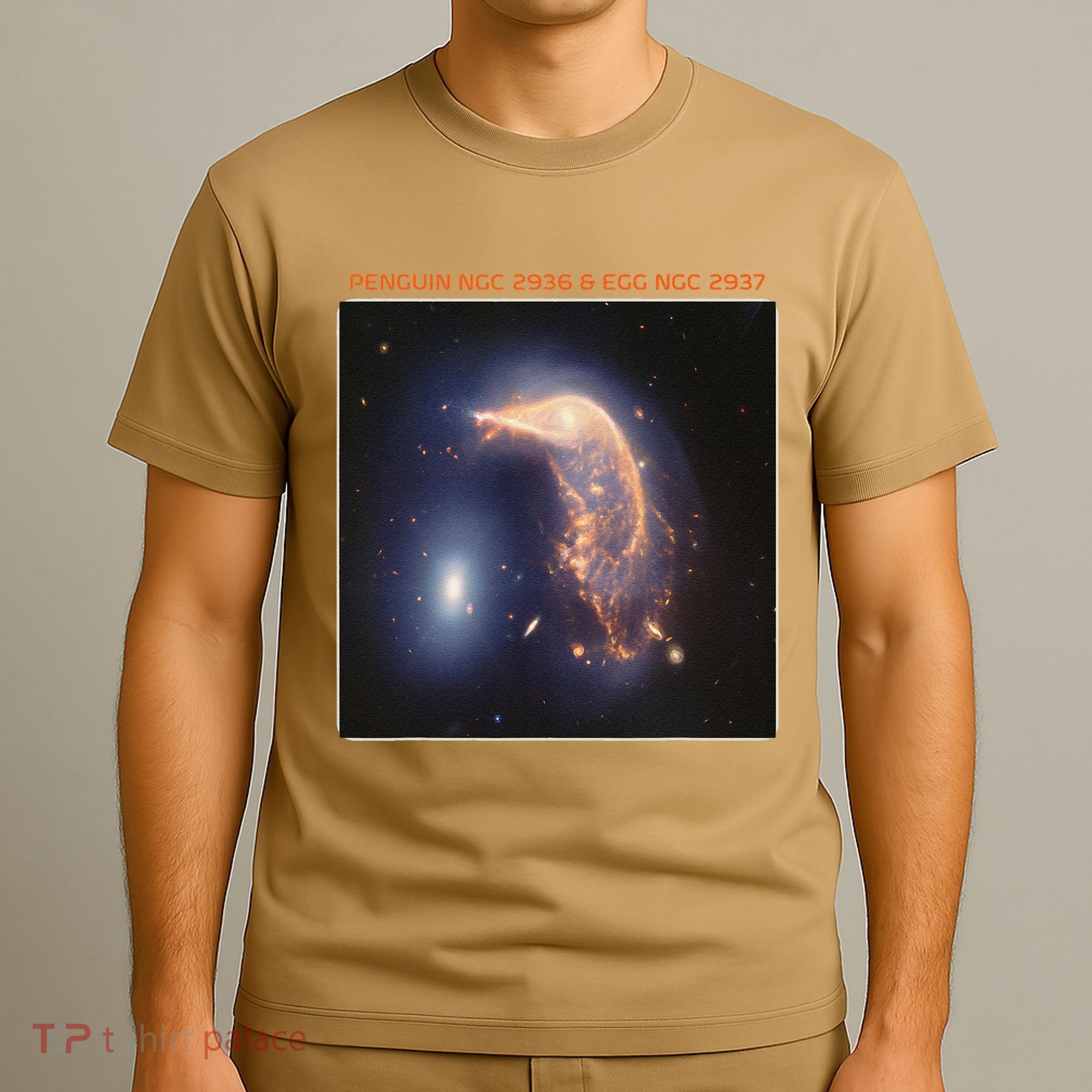 Webb Space Telescope The Penguin And Egg Ngc 2936 2937 Jwst T-Shirt
