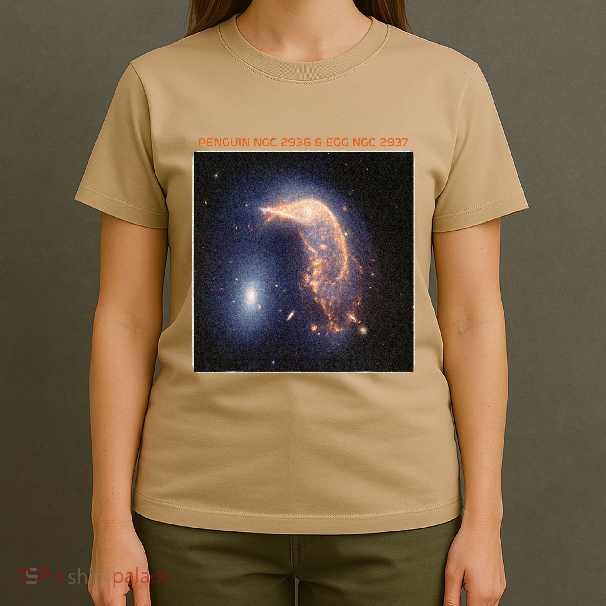 Webb Space Telescope The Penguin And Egg Ngc 2936 2937 Jwst T-Shirt