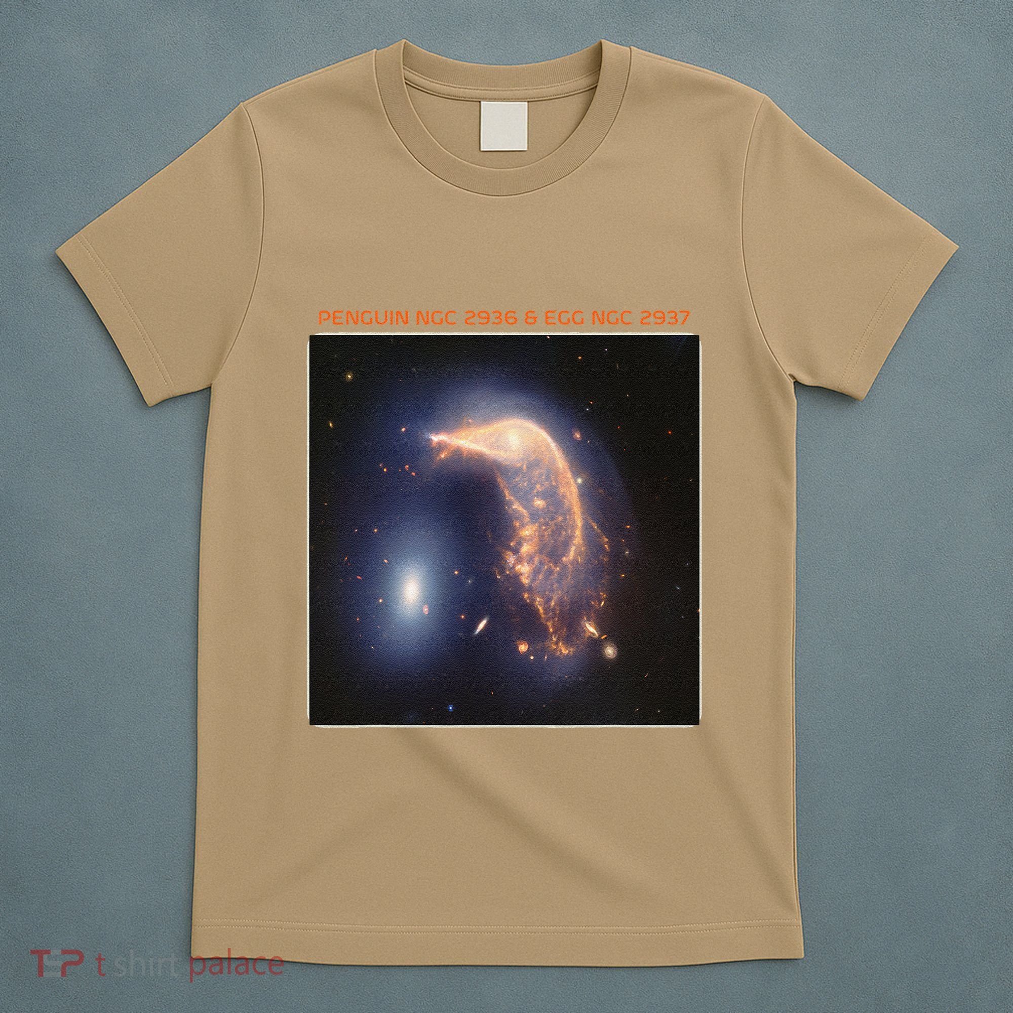 Webb Space Telescope The Penguin And Egg Ngc 2936 2937 Jwst T-Shirt
