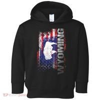 Wyoming State Usa Flag Souvenir Gift Toddler Hoodie thumb 0
