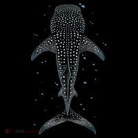 Whale Shark Hoodie thumb 7