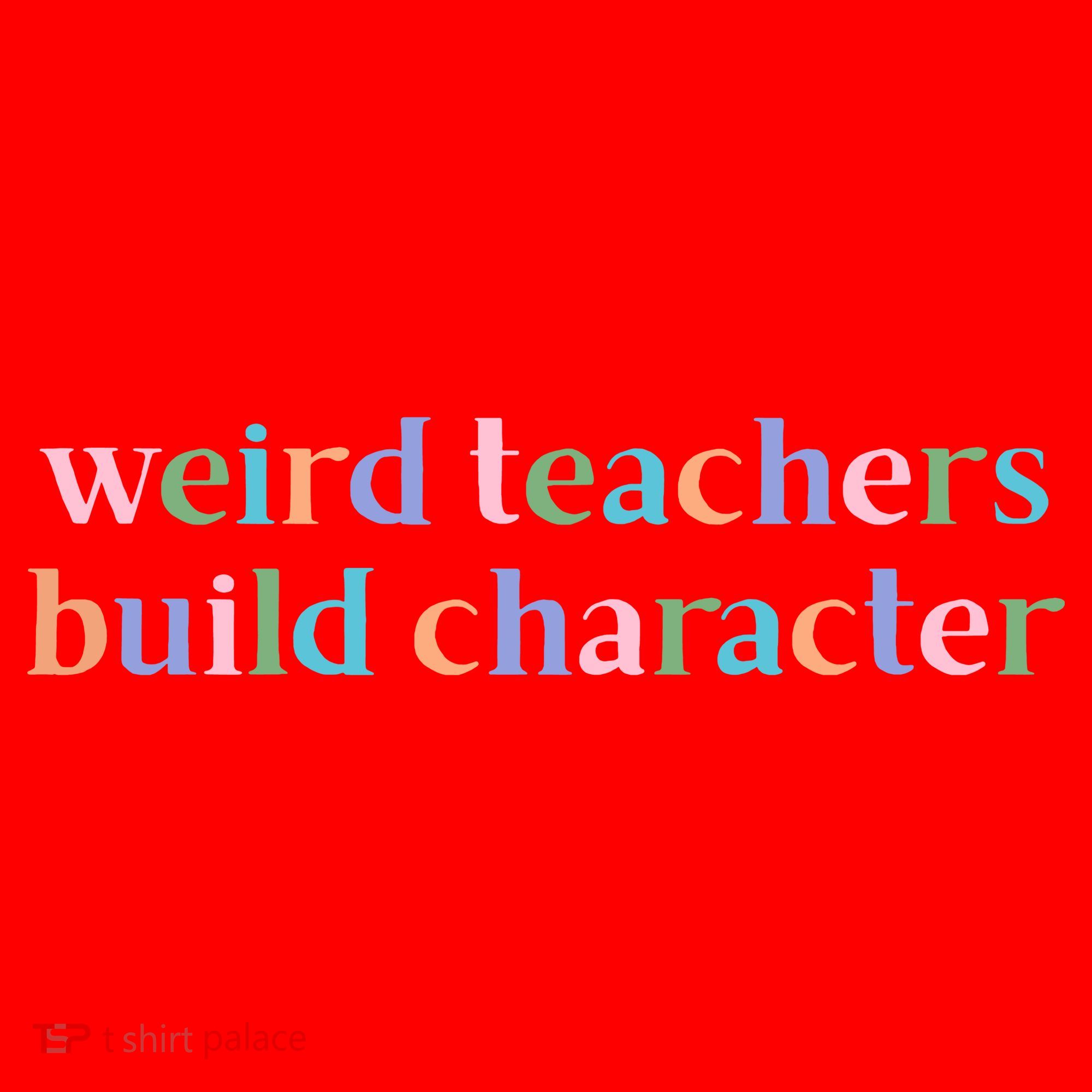 Weird Teachers Build Character Funny Santa Hat