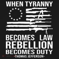When Tyranny Becomes Law Rebellion Becomes Duty 1776 Women's Hoodie thumb 2