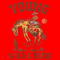 Wild & Three Cow Western Rodeo 3rd Birthday Santa Hat thumb 1