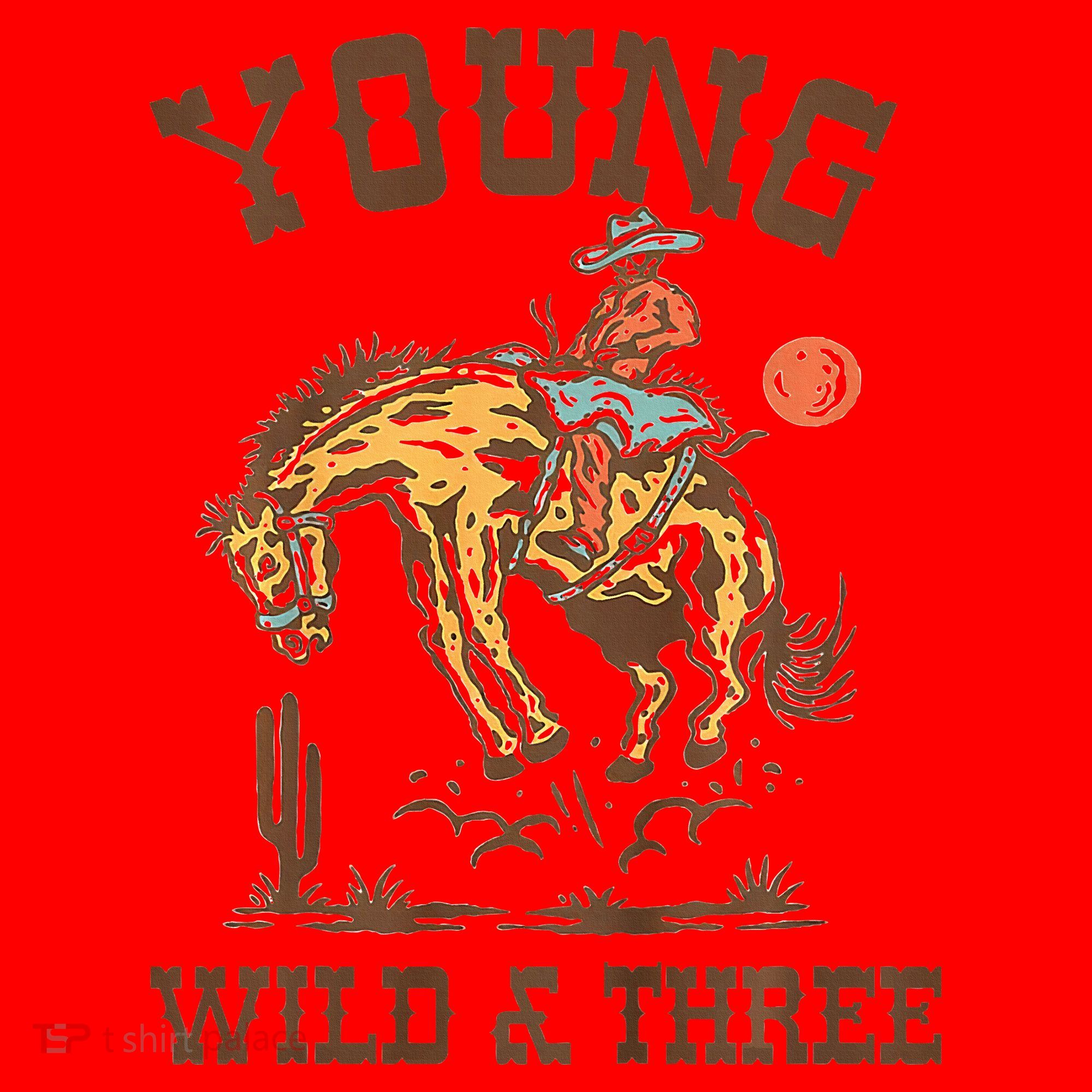 Wild & Three Cow Western Rodeo 3rd Birthday Santa Hat
