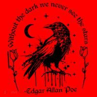 Without The Dark We Never See The Stars Teacher Funny Santa Hat thumb 1