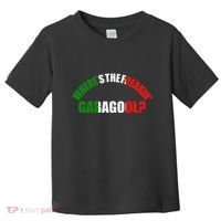 WhereS The Freakin Gabagool Meme Capicola Italian American Toddler T-Shirt thumb 0