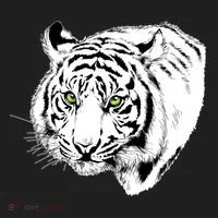 White Tiger Face Tumbler thumb 3