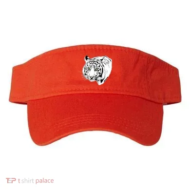 Visor