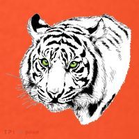 White Tiger Face Women's T-Shirt thumb 6