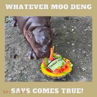 Won Thank God Trump Hippo Moo Deng Prediction Greatest Hoodie thumb 2