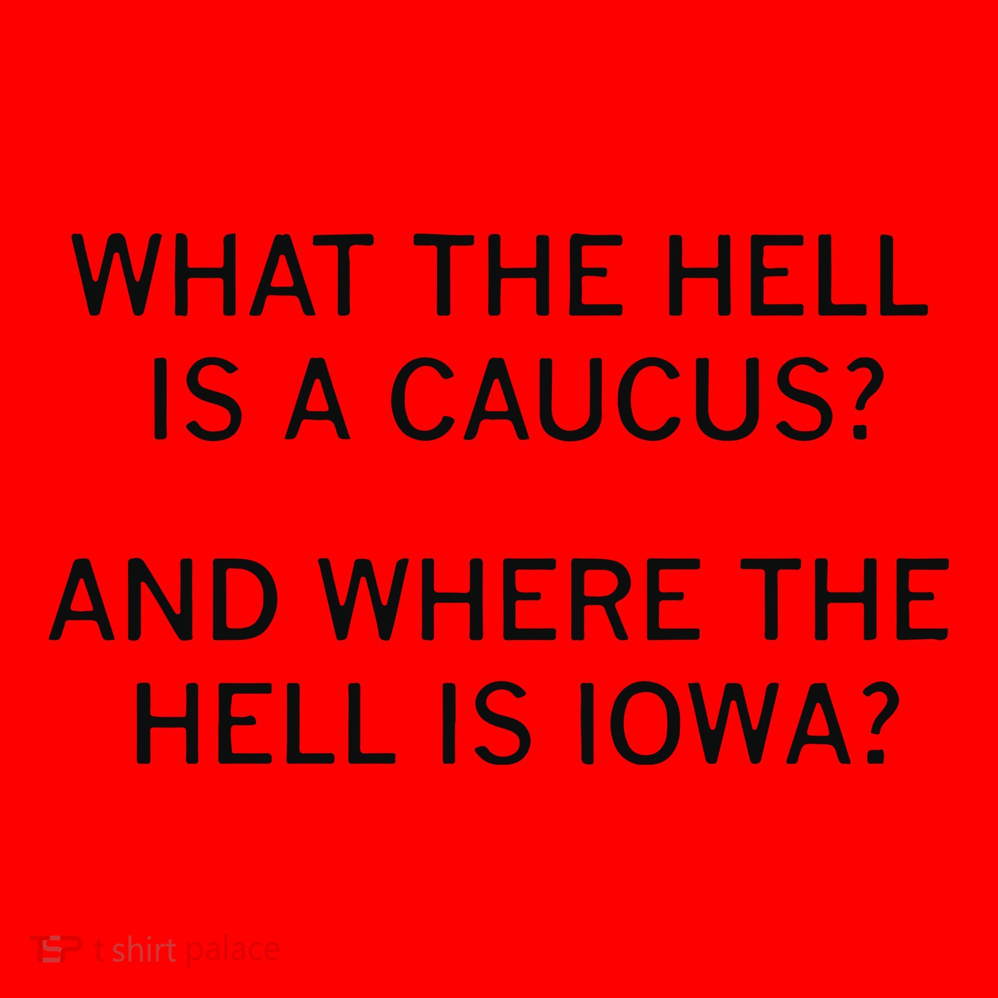 What The Hell Is A Caucus And Where The Hell Is Iowa Santa Hat