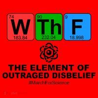 WTHF WTF The Element of Outraged Disbelief March For Science Santa Hat thumb 1
