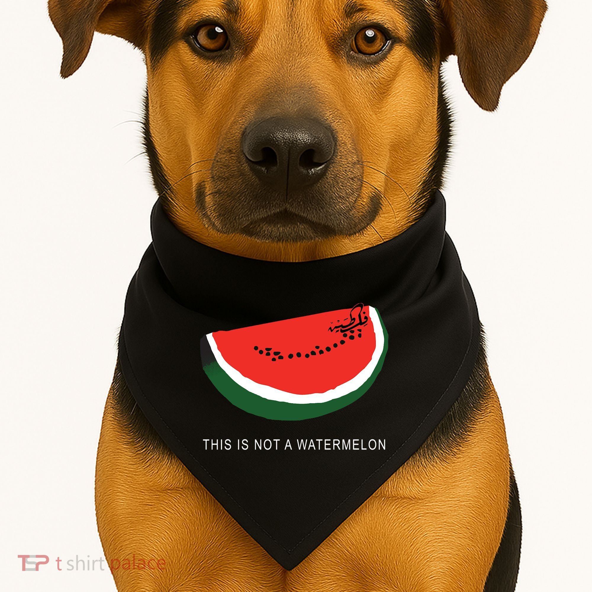 Watermelon This Is Not A Watermelon Palestine Collection USA-Made Doggie Bandana