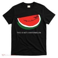 Watermelon This Is Not A Watermelon Palestine Collection T-Shirt thumb 0