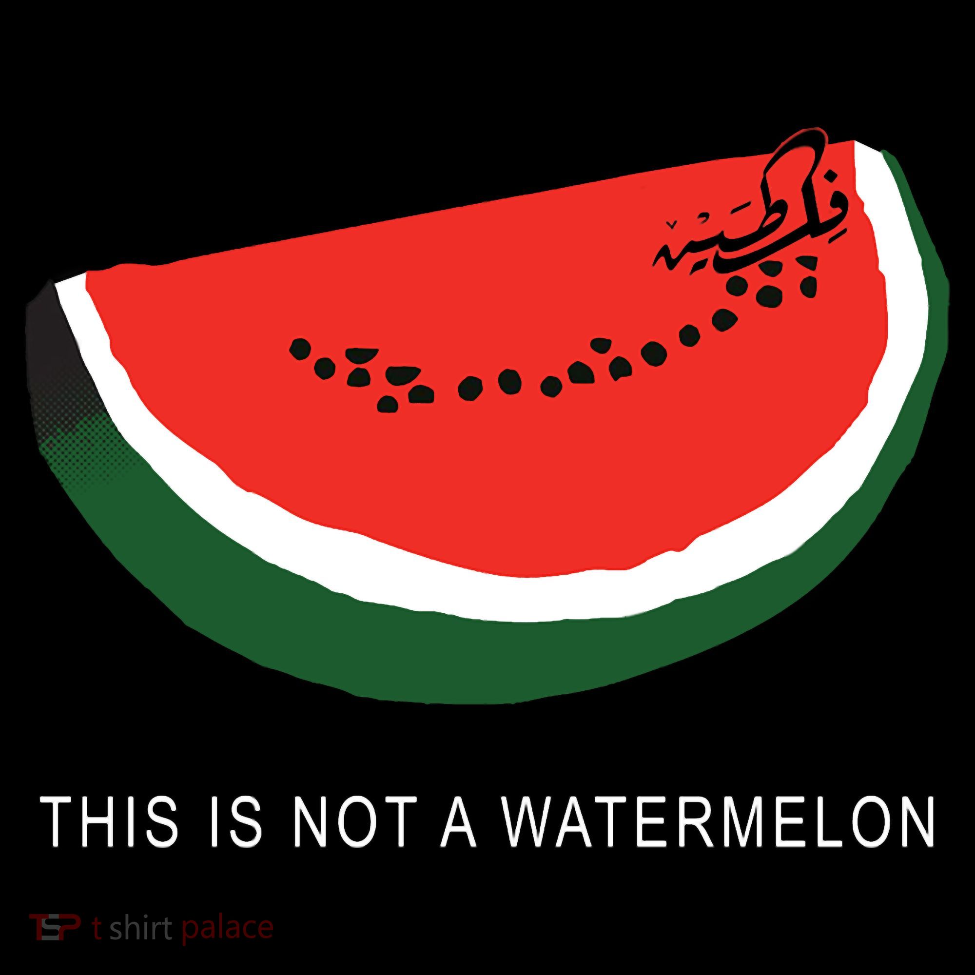 Watermelon This Is Not A Watermelon Palestine Collection Women's Hoodie