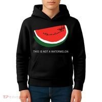 Watermelon This Is Not A Watermelon Palestine Collection Kids Hoodie thumb 4