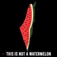Watermelon This Is Not A Watermelon Palestine Collection Coffee Mug thumb 5