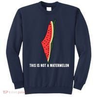 Watermelon This Is Not A Watermelon Palestine Collection Sweatshirt thumb 0