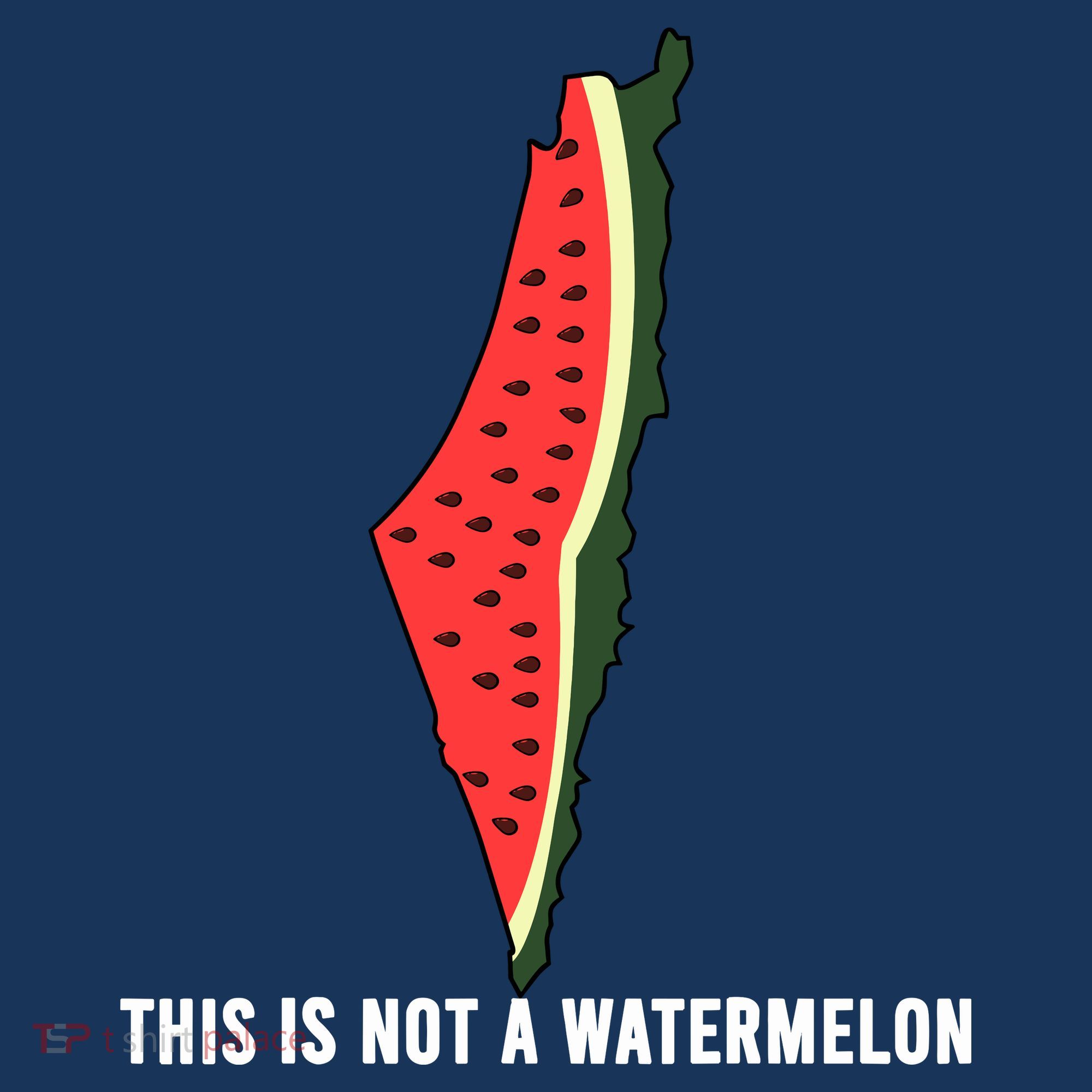 Watermelon This Is Not A Watermelon Palestine Collection Women's Hoodie