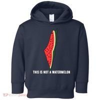 Watermelon This Is Not A Watermelon Palestine Collection Toddler Hoodie thumb 0