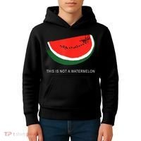 Watermelon This Is Not A Watermelon Palestine Collection Kids Hoodie thumb 4