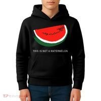 Watermelon This Is Not A Watermelon Palestine Collection Kids Hoodie thumb 4