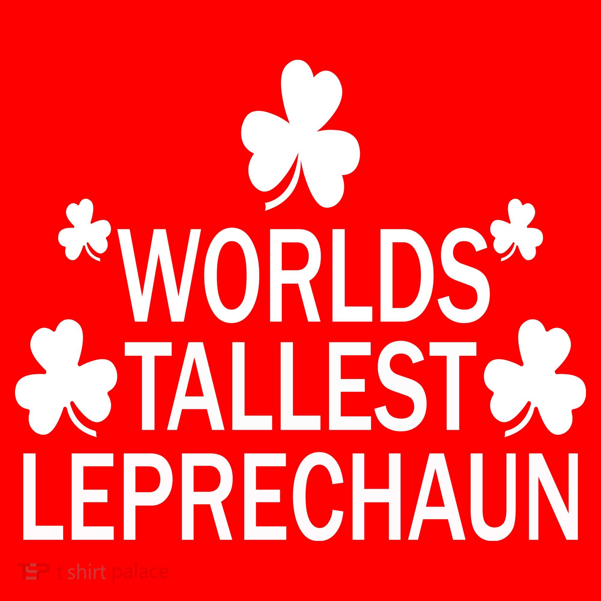 World's Tallest Leprechaun Santa Hat