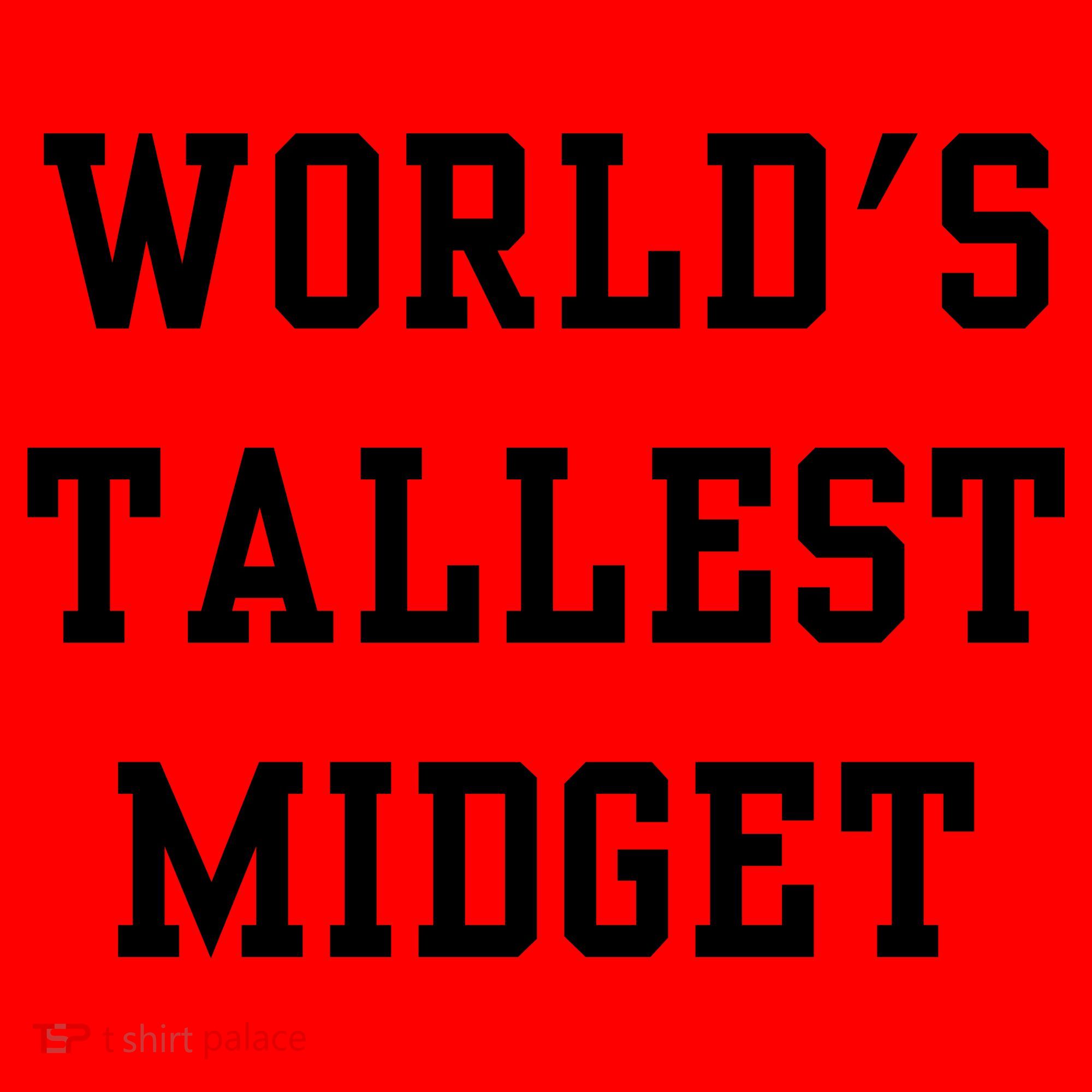 Worlds Tallest Midget Santa Hat