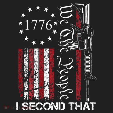 We The People I Second That 2nd Amendment US Flag Beanie