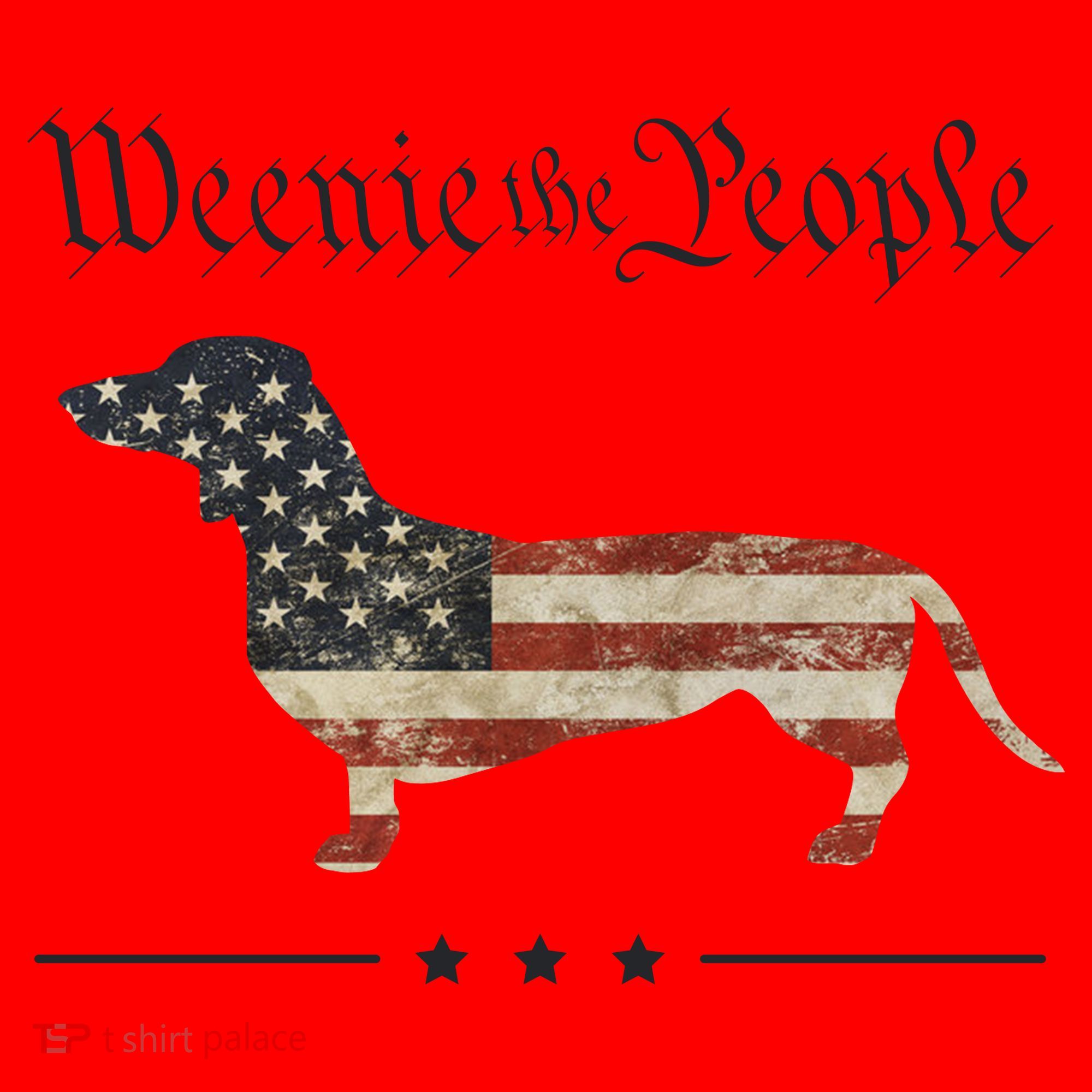 Weenie The People Funny Dachshund 4th Of July USA Santa Hat