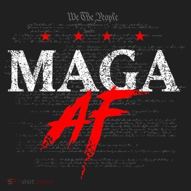 We The People Maga Beanie