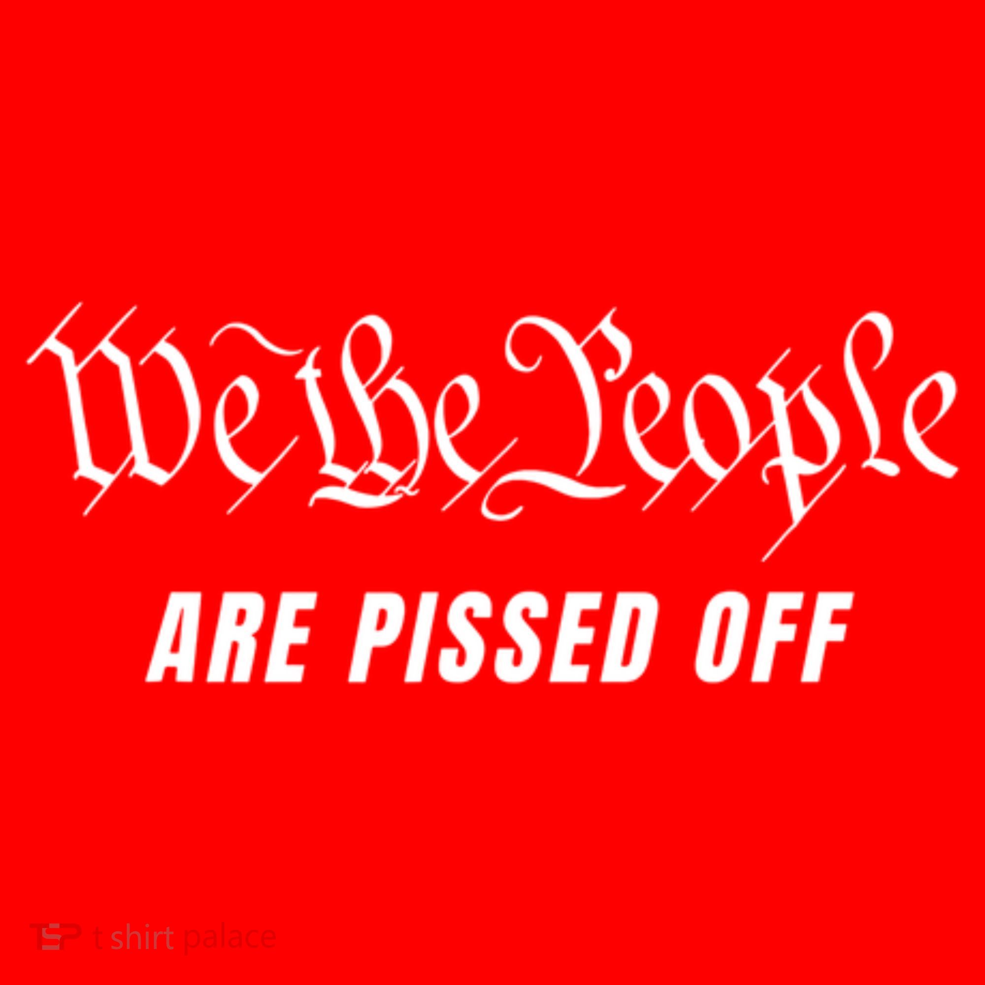 We The People Are Pissed Off Santa Hat