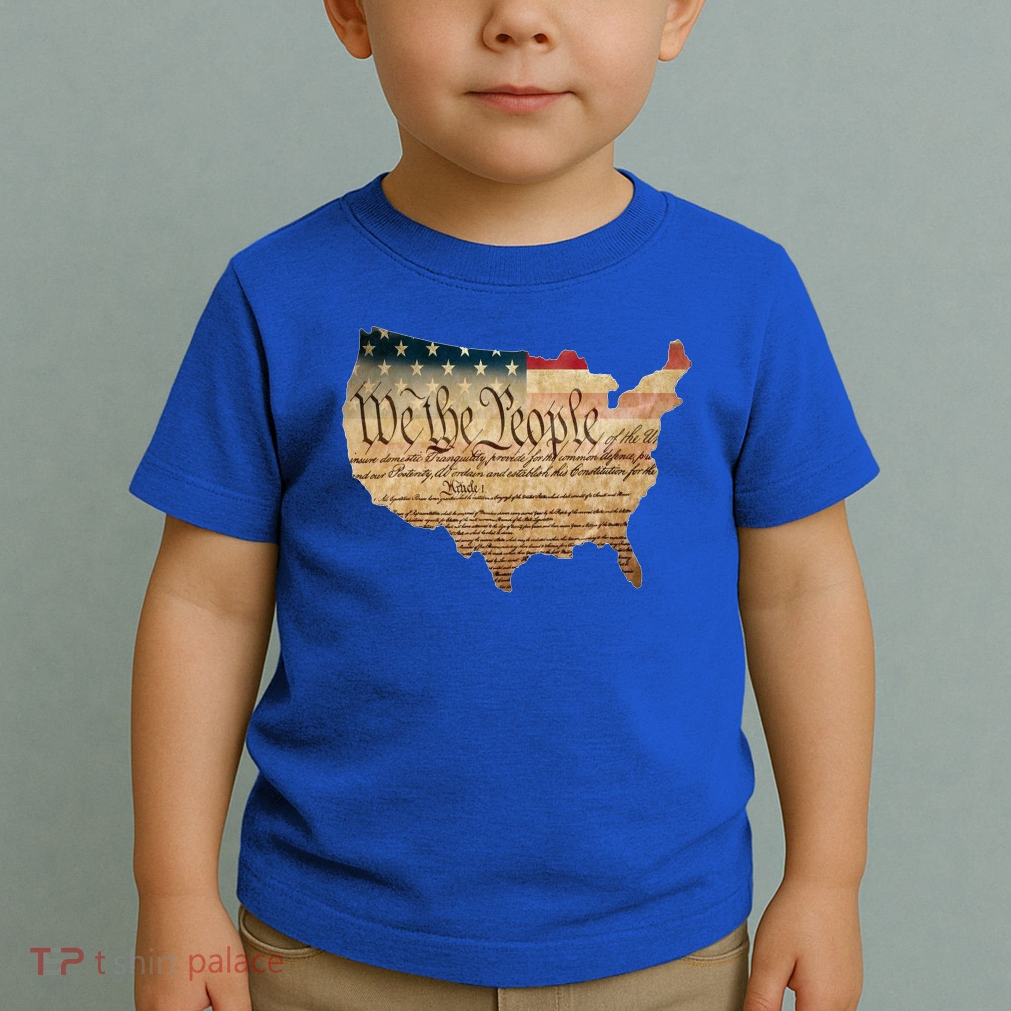 We The People Constitution Usa Flag 2nd Adt Gun Rights Gift Toddler T-Shirt
