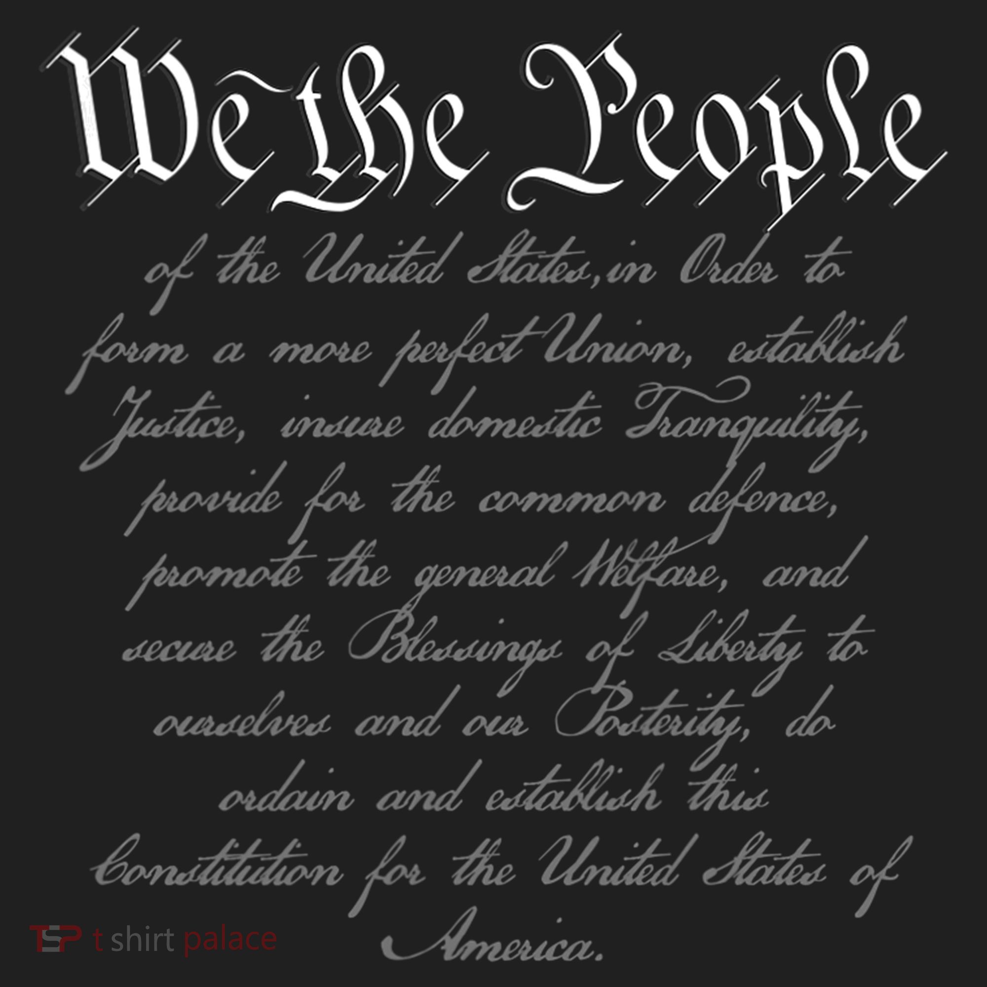 We The People US Constitution 4th Of July Patriotic Tumbler