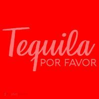 Womens TEQUILA POR FAVOR Cinco De Mayo Drinking Tee Santa Hat thumb 1